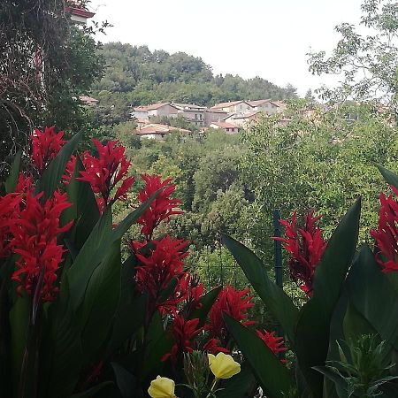 Agrifoglio B&B Con Giardino Аритцо Экстерьер фото