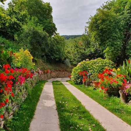 Agrifoglio B&B Con Giardino Аритцо Экстерьер фото