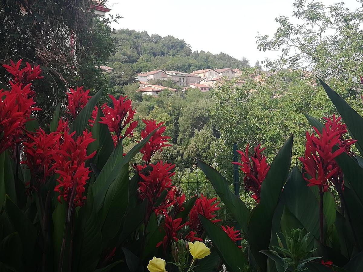 Agrifoglio B&B Con Giardino Аритцо Экстерьер фото