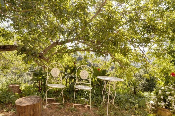 Agrifoglio B&B Con Giardino Аритцо Экстерьер фото