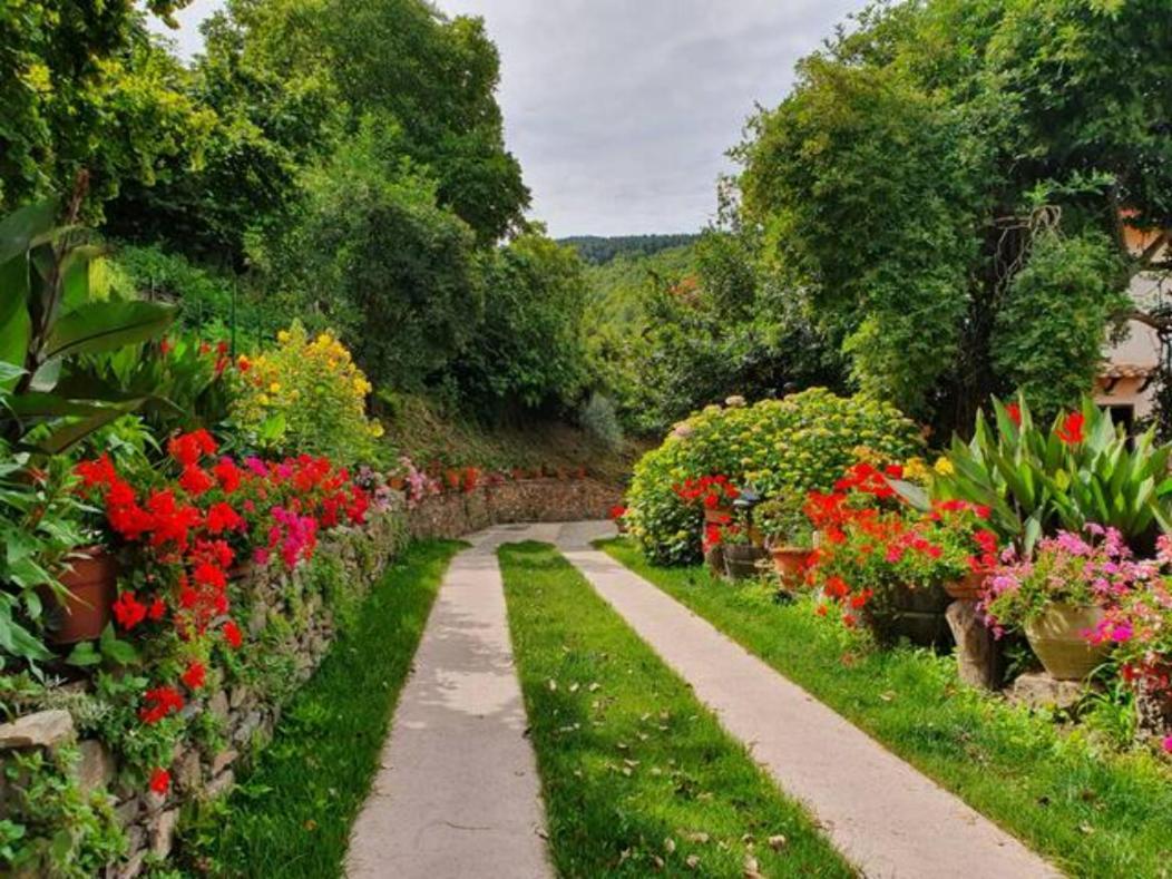 Agrifoglio B&B Con Giardino Аритцо Экстерьер фото